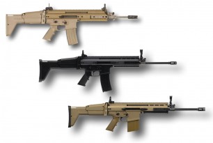 FNAC vs SCAR 16 vs SCAR 17