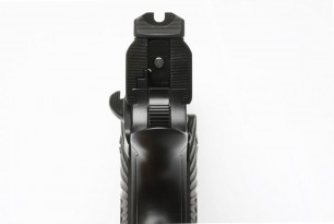 Wilson Combat Super Sentinel