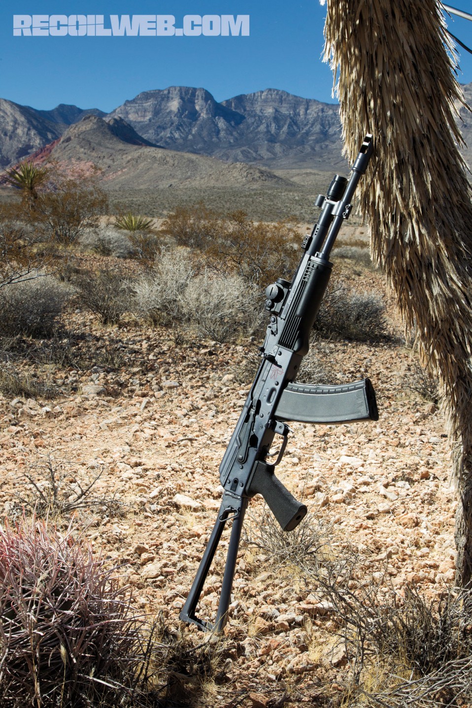 Rifle Dynamics RD-74 - Special Edition
