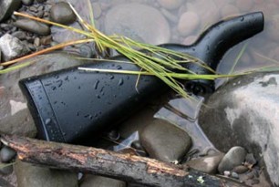 AR-7 In Water
