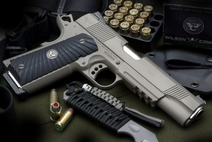 Wilson Combat CQB 1911 FDE