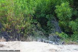 MultiCam Backpack In Forest
