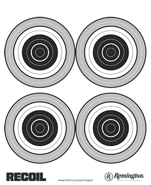 Recoil Bullseye Target