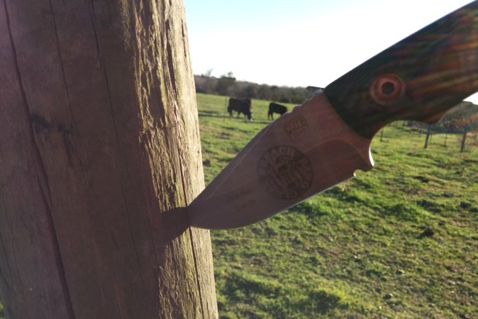 Coye Knife BB&C Limited Edition Austin - 1