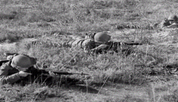 M14rifle3