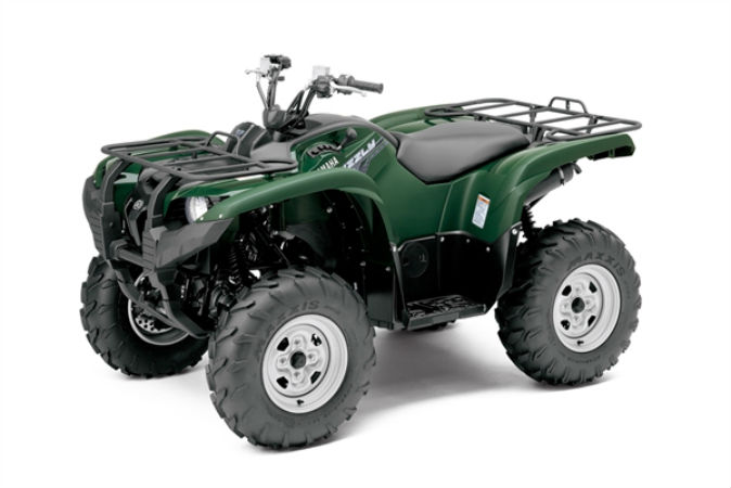 Grizzly 1