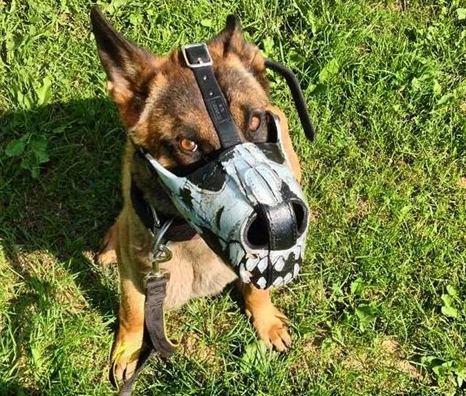 badass dog muzzle