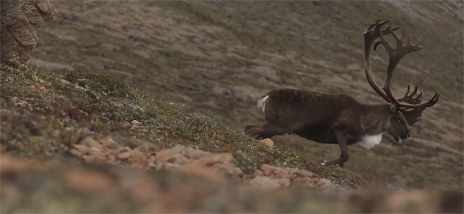 Donnie Vincent in the heart of the badlands 4