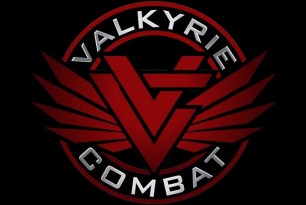 Valkrie_Combat_FNGP012