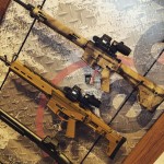 EoTech NRA 2015