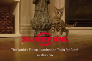 SureFire for Cats