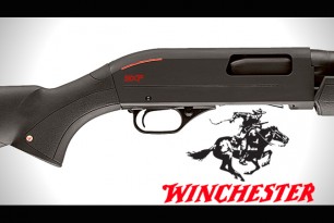 Winchester-Recall
