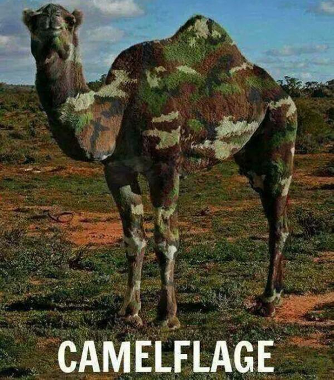 camelflage1
