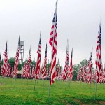 Flags at Floral Haven