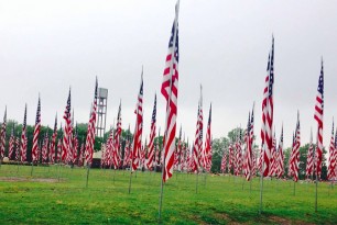 Flags at Floral Haven