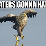 Haters-gonna-hate