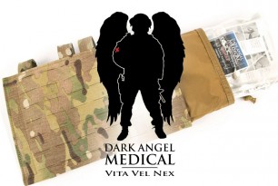 DARK_Angel_Shingle005_cover