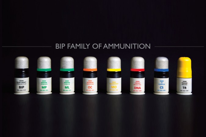 sdibipfamilyshot