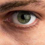 Closeup view of male eye