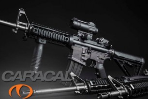 caracal_featured