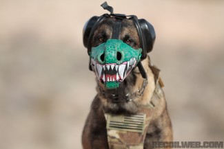 workingdogmuzzle