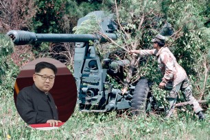 North Korean Anti-Aircraft Gun