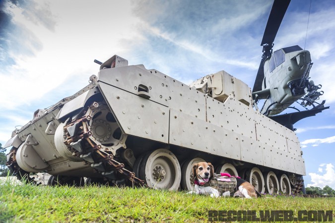 Kilo Niner K9 Small Breed Dog Gear