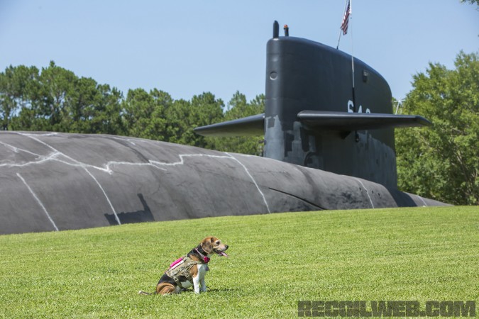 Kilo Niner Small Breed Dog Gear