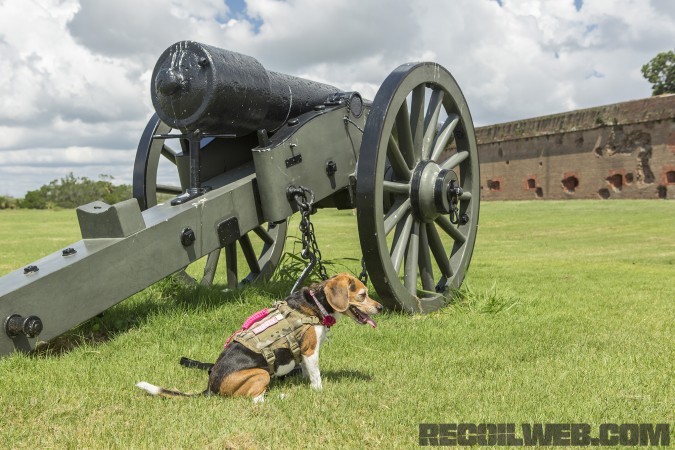 Kilo Niner K9 Small Breed Dog Gear