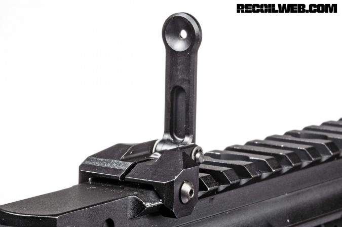 back-up-iron-sights-buyers-guide-leitner-wise-esights-005