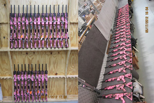 Daniel Defense's Pink AR Rifle