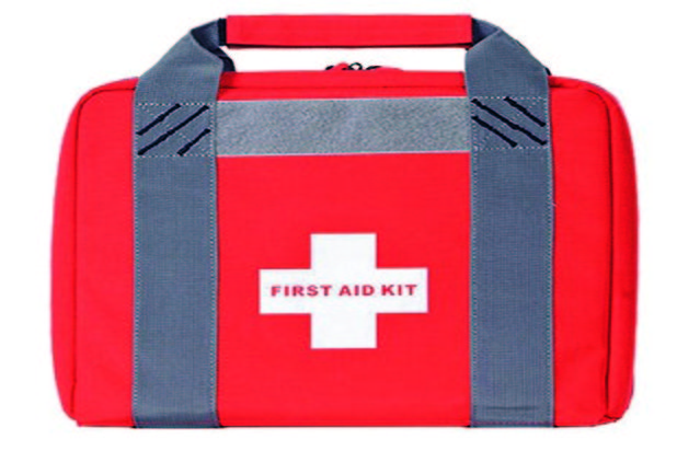 Deceptive hand-gun cases – hide in plain sight