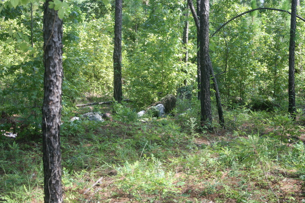 ShadowShield – Portable Camouflage