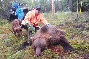 Bear fighting with a Hi-Point