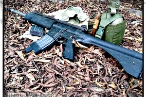 “Inexpensive” ARs – what about this one?