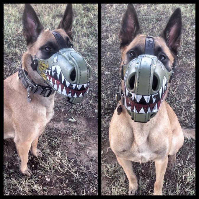 painted muzzle