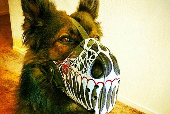 badass dog muzzle