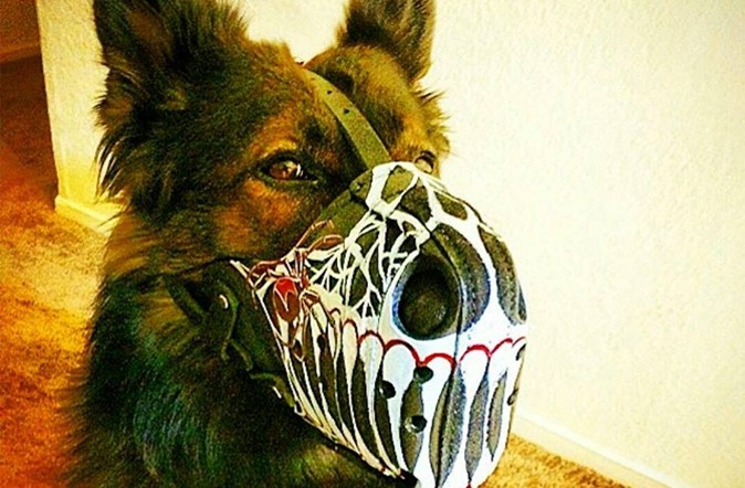 Working Dog Dry Goods