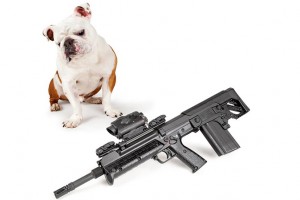 Guns and dogs, dogs and guns.