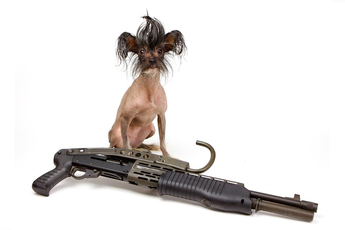 Puppies with guns - not sure WTF this is