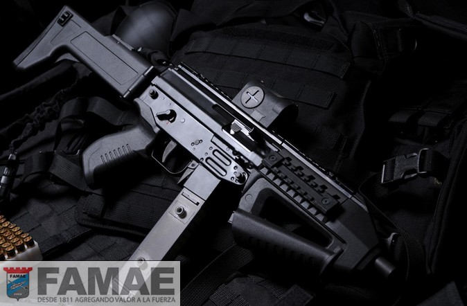 The Gorgeous Rifles of FAMAE