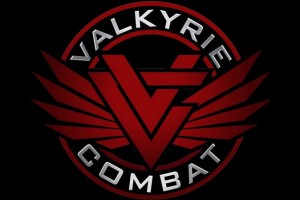 Friday Night Gun Porn: Valkryie Combat