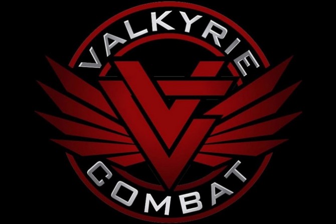 Friday Night Gun Porn: Valkryie Combat