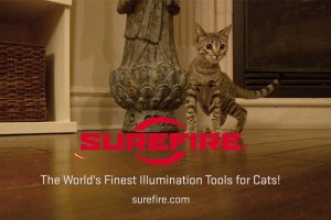 SureFire training laser for pets
