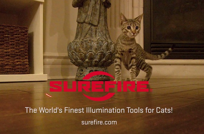 SureFire training laser for pets