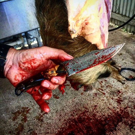 Nothing puts a knife to a test like butchering a hog.