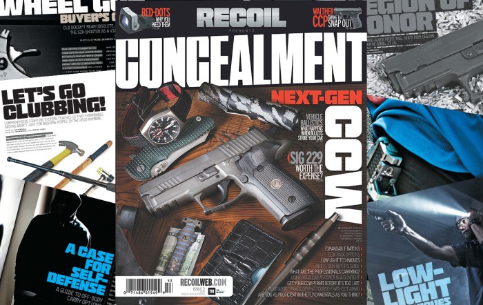 CONCEALMENT #2