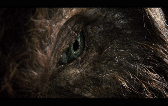 First Annual Conclave: the RECOIL Texas Hog Hunt