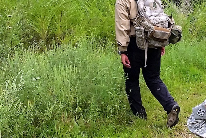 broga pants
