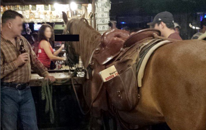 And the Horse We Rode In On